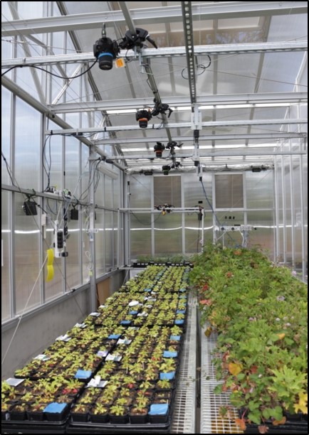 plants in labs, drone flights over trees